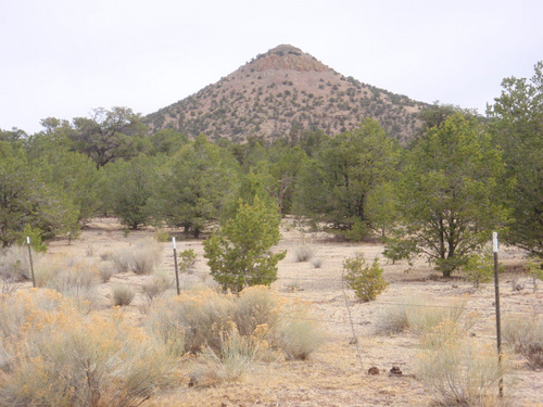 Local terrain and fauna.